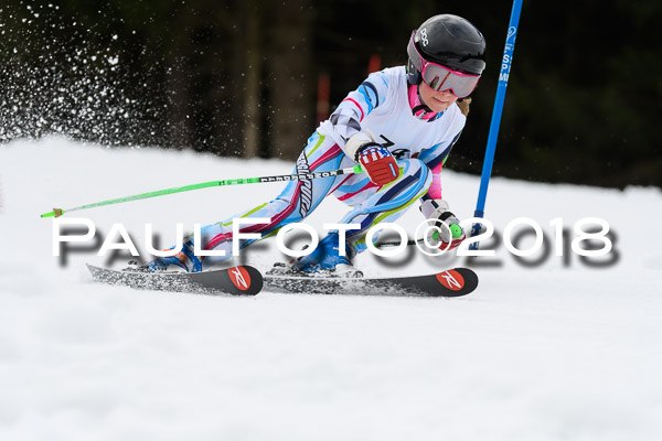 Schongauer Zwergerlrennen 28.01.2018