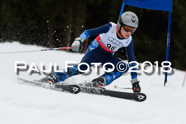 Schongauer Zwergerlrennen 28.01.2018