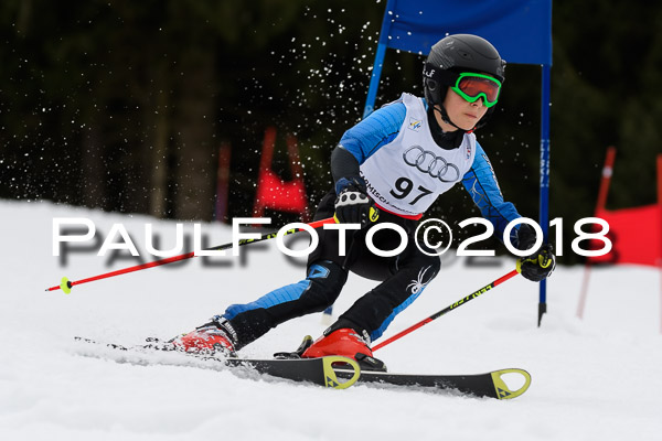 Schongauer Zwergerlrennen 28.01.2018