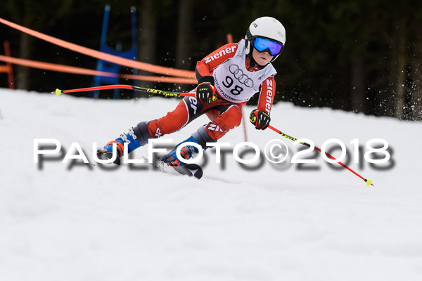 Schongauer Zwergerlrennen 28.01.2018