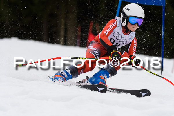 Schongauer Zwergerlrennen 28.01.2018