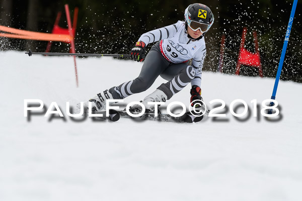Schongauer Zwergerlrennen 28.01.2018