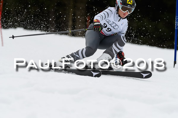 Schongauer Zwergerlrennen 28.01.2018