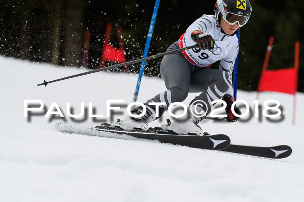 Schongauer Zwergerlrennen 28.01.2018