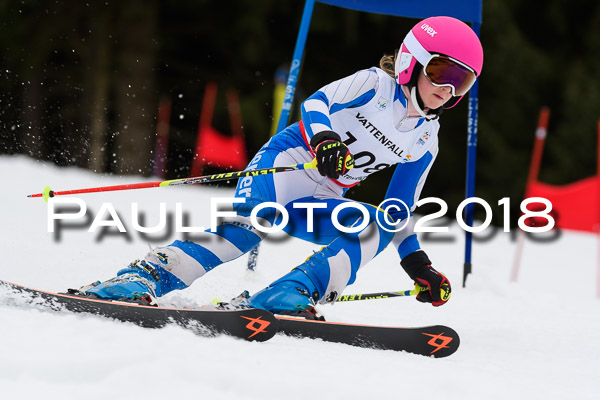 Schongauer Zwergerlrennen 28.01.2018