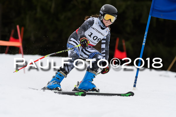 Schongauer Zwergerlrennen 28.01.2018