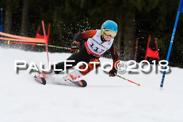 Schongauer Zwergerlrennen 28.01.2018