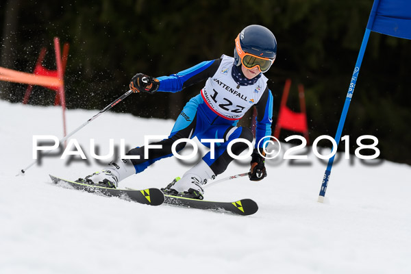 Schongauer Zwergerlrennen 28.01.2018
