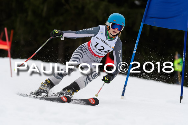 Schongauer Zwergerlrennen 28.01.2018