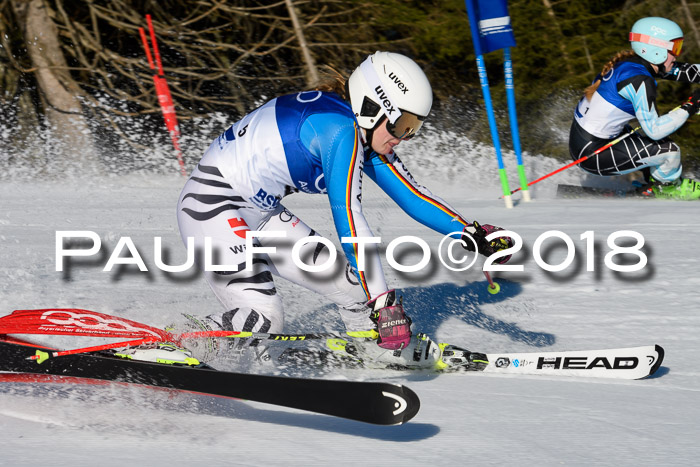 Bayerische Schülermeisterschaft Team PSL 29.01.2018