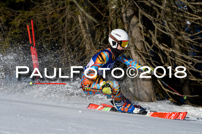 Bayerische Schülermeisterschaft Team PSL 29.01.2018