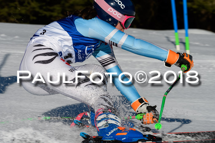 Bayerische Schülermeisterschaft Team PSL 29.01.2018