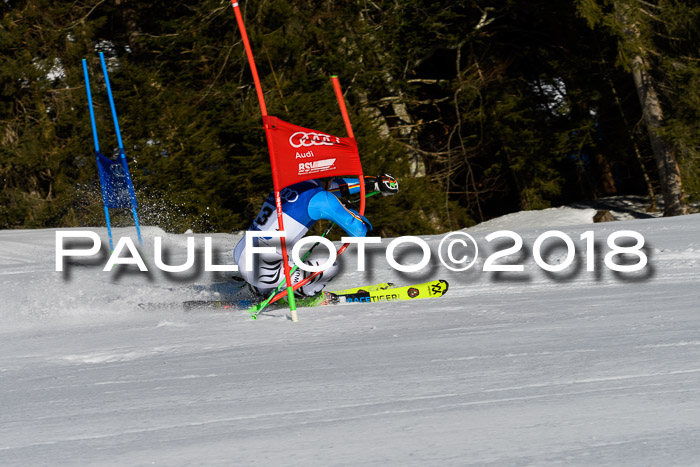 Bayerische Schülermeisterschaft Team PSL 29.01.2018