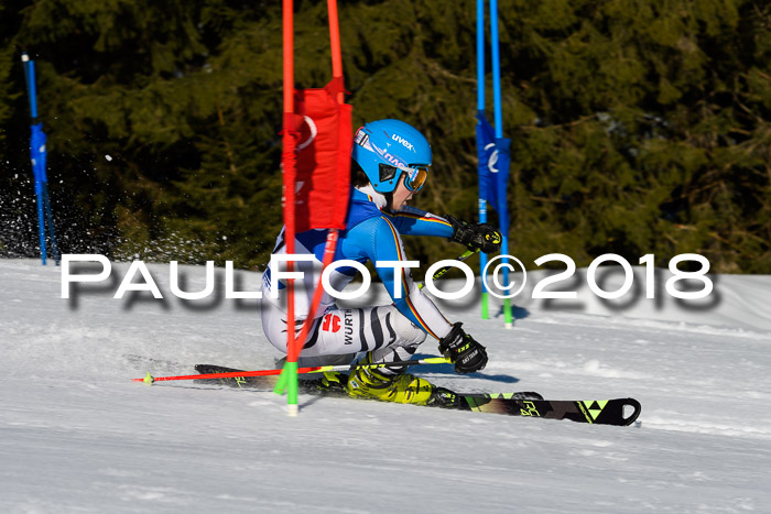 Bayerische Schülermeisterschaft Team PSL 29.01.2018