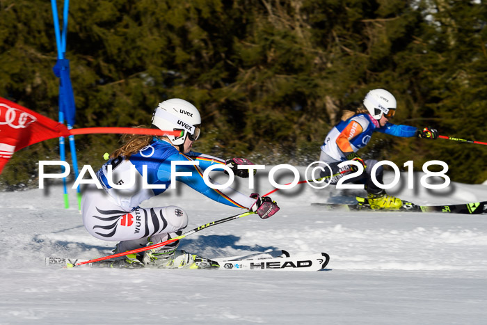 Bayerische Schülermeisterschaft Team PSL 29.01.2018