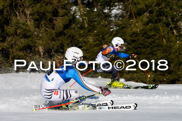 Bayerische Schülermeisterschaft Team PSL 29.01.2018