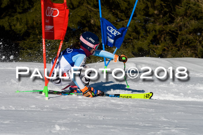 Bayerische Schülermeisterschaft Team PSL 29.01.2018