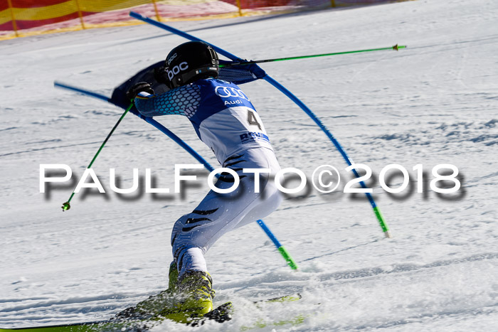 Bayerische Schülermeisterschaft Team PSL 29.01.2018