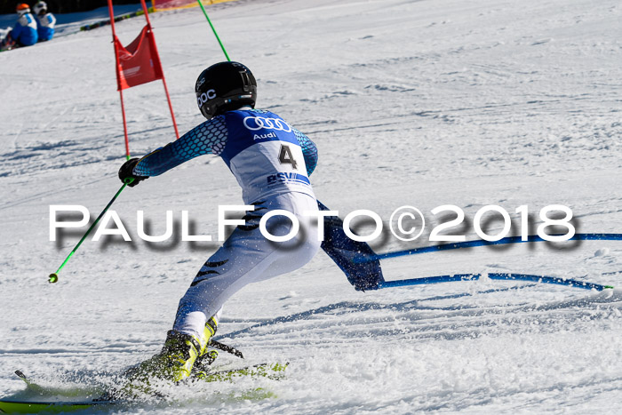 Bayerische Schülermeisterschaft Team PSL 29.01.2018