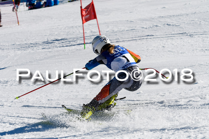 Bayerische Schülermeisterschaft Team PSL 29.01.2018