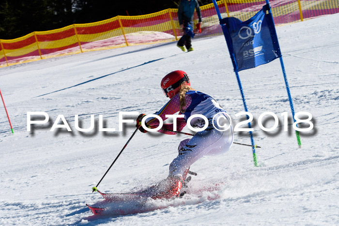 Bayerische Schülermeisterschaft Team PSL 29.01.2018