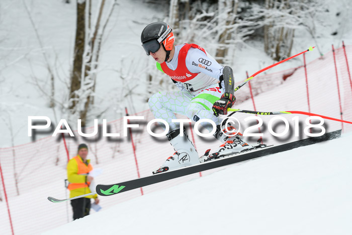 FIS RiesenslalomDamen Lenggries 2.2.2018