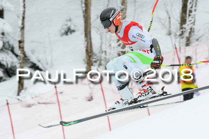 FIS RiesenslalomDamen Lenggries 2.2.2018