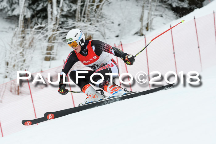 FIS RiesenslalomDamen Lenggries 2.2.2018