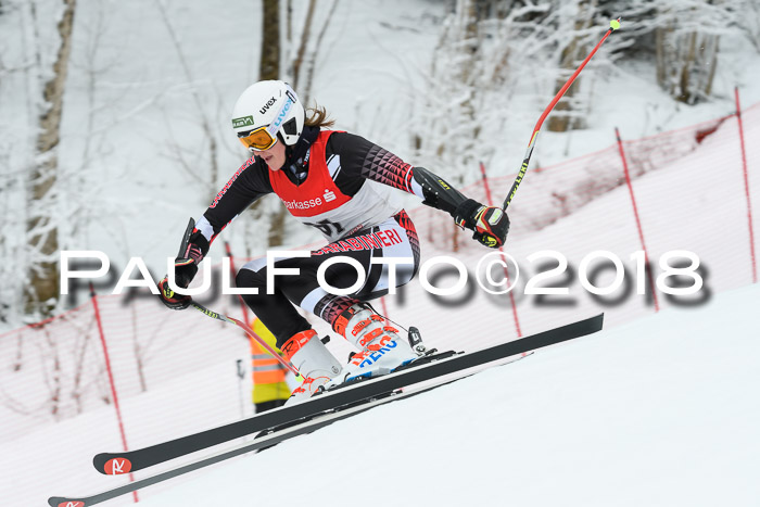 FIS RiesenslalomDamen Lenggries 2.2.2018