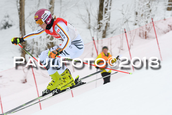 FIS RiesenslalomDamen Lenggries 2.2.2018