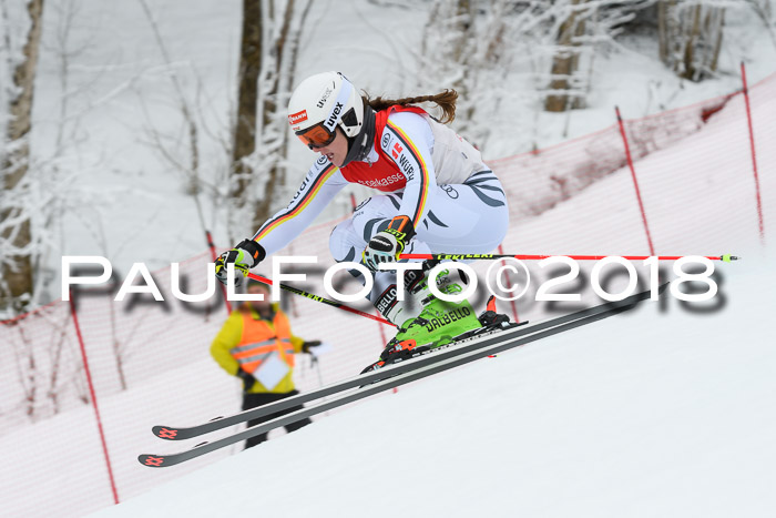 FIS RiesenslalomDamen Lenggries 2.2.2018