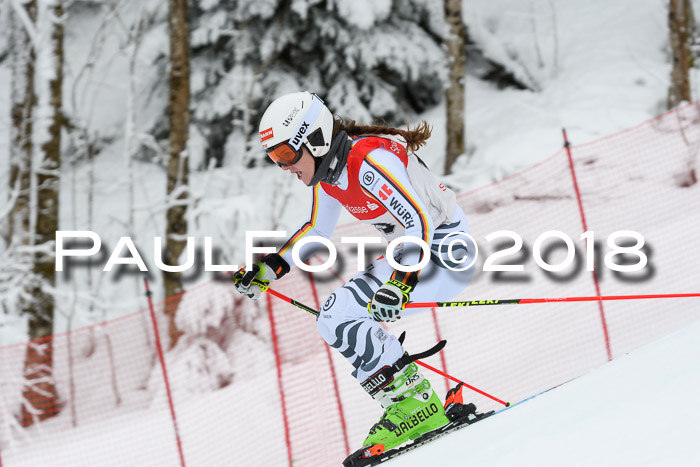 FIS RiesenslalomDamen Lenggries 2.2.2018