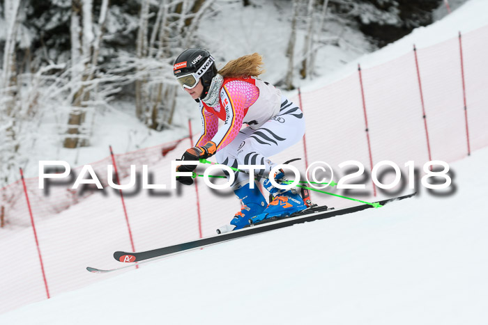 FIS RiesenslalomDamen Lenggries 2.2.2018