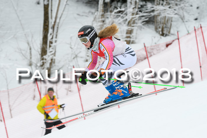 FIS RiesenslalomDamen Lenggries 2.2.2018