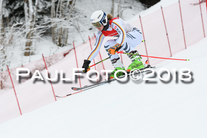 FIS RiesenslalomDamen Lenggries 2.2.2018