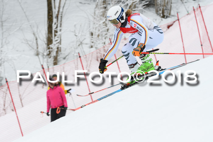 FIS RiesenslalomDamen Lenggries 2.2.2018