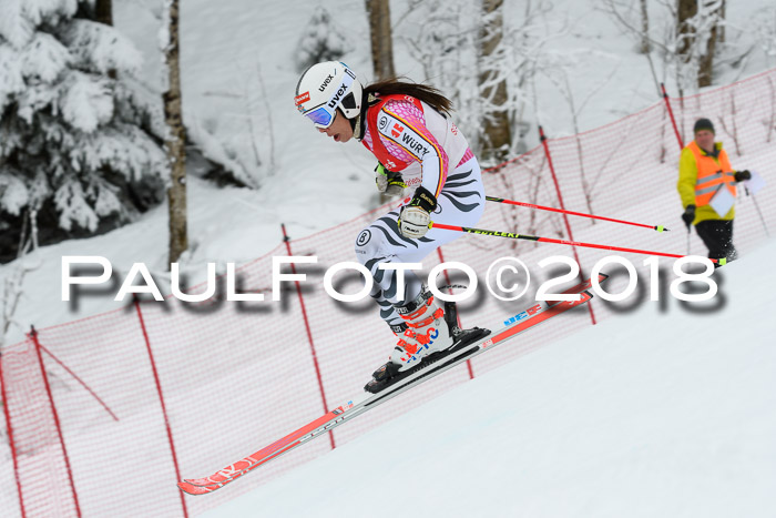 FIS RiesenslalomDamen Lenggries 2.2.2018