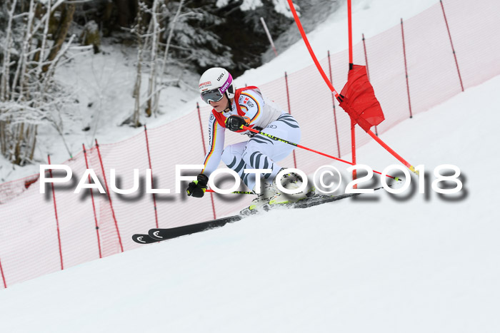 FIS RiesenslalomDamen Lenggries 2.2.2018