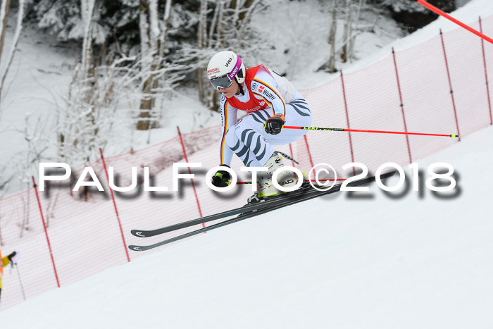 FIS RiesenslalomDamen Lenggries 2.2.2018