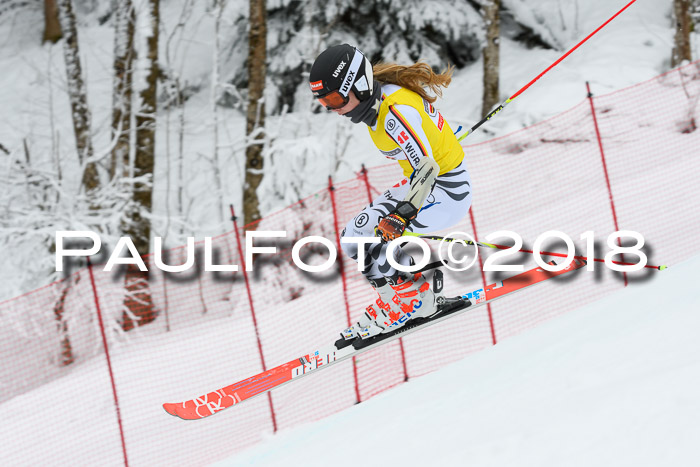 FIS RiesenslalomDamen Lenggries 2.2.2018