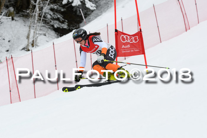 FIS RiesenslalomDamen Lenggries 2.2.2018