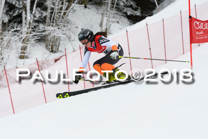 FIS RiesenslalomDamen Lenggries 2.2.2018