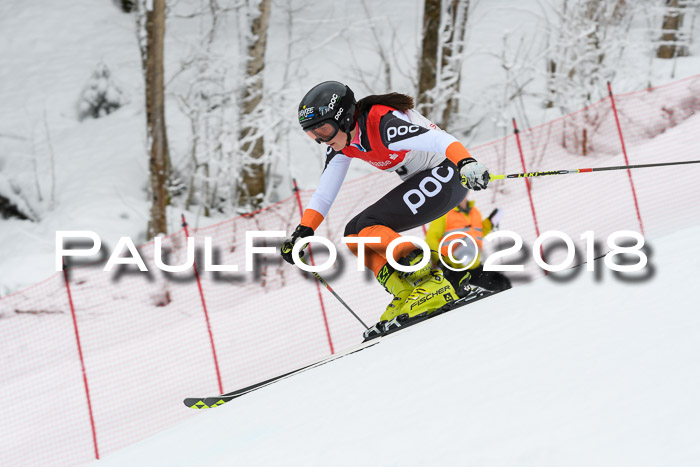 FIS RiesenslalomDamen Lenggries 2.2.2018