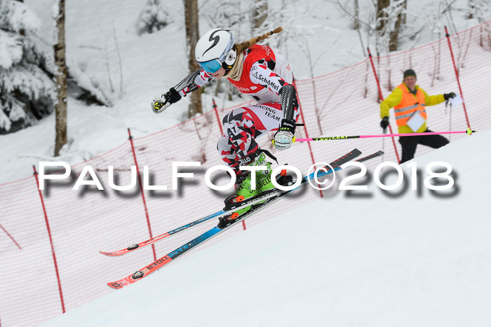 FIS RiesenslalomDamen Lenggries 2.2.2018