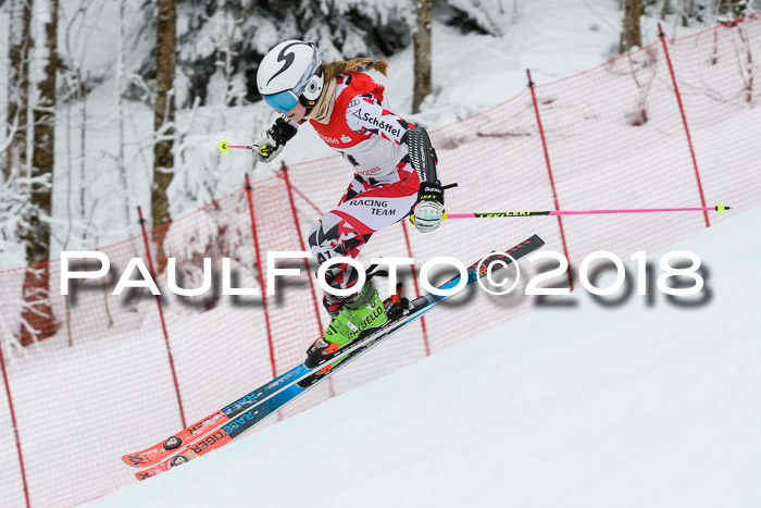 FIS RiesenslalomDamen Lenggries 2.2.2018