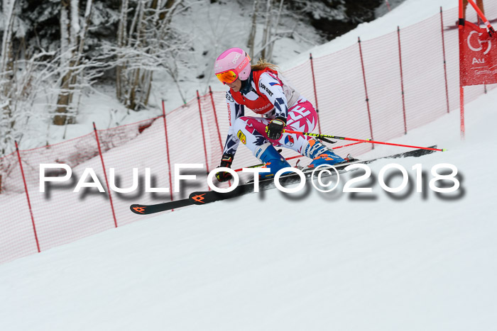 FIS RiesenslalomDamen Lenggries 2.2.2018