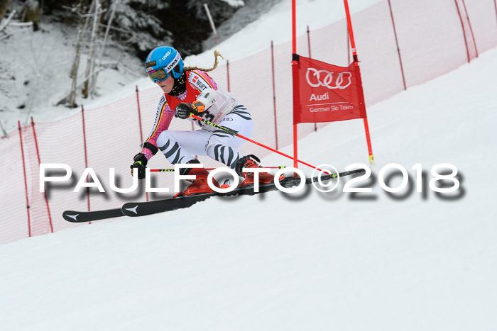 FIS RiesenslalomDamen Lenggries 2.2.2018