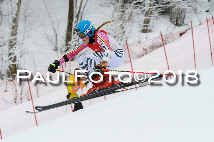 FIS RiesenslalomDamen Lenggries 2.2.2018