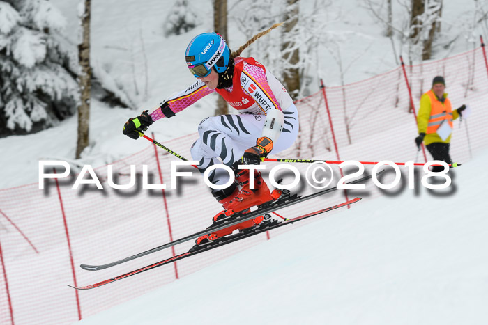 FIS RiesenslalomDamen Lenggries 2.2.2018