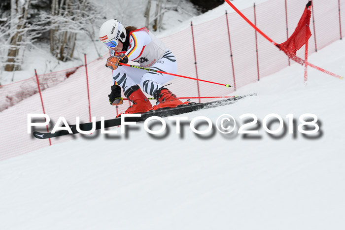 FIS RiesenslalomDamen Lenggries 2.2.2018